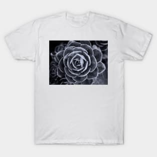 Something Different T-Shirt